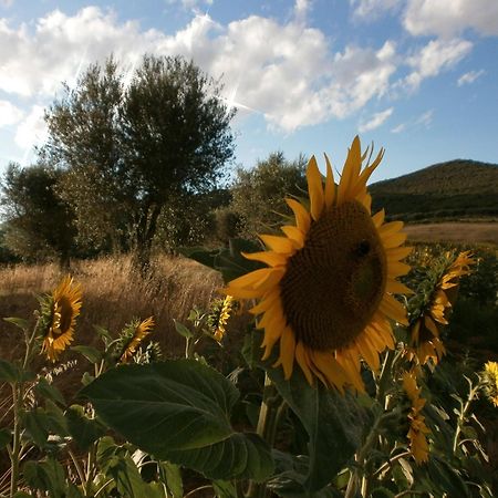 I Casali Di Colle San Paolo Villa Tavernelle  Eksteriør bilde