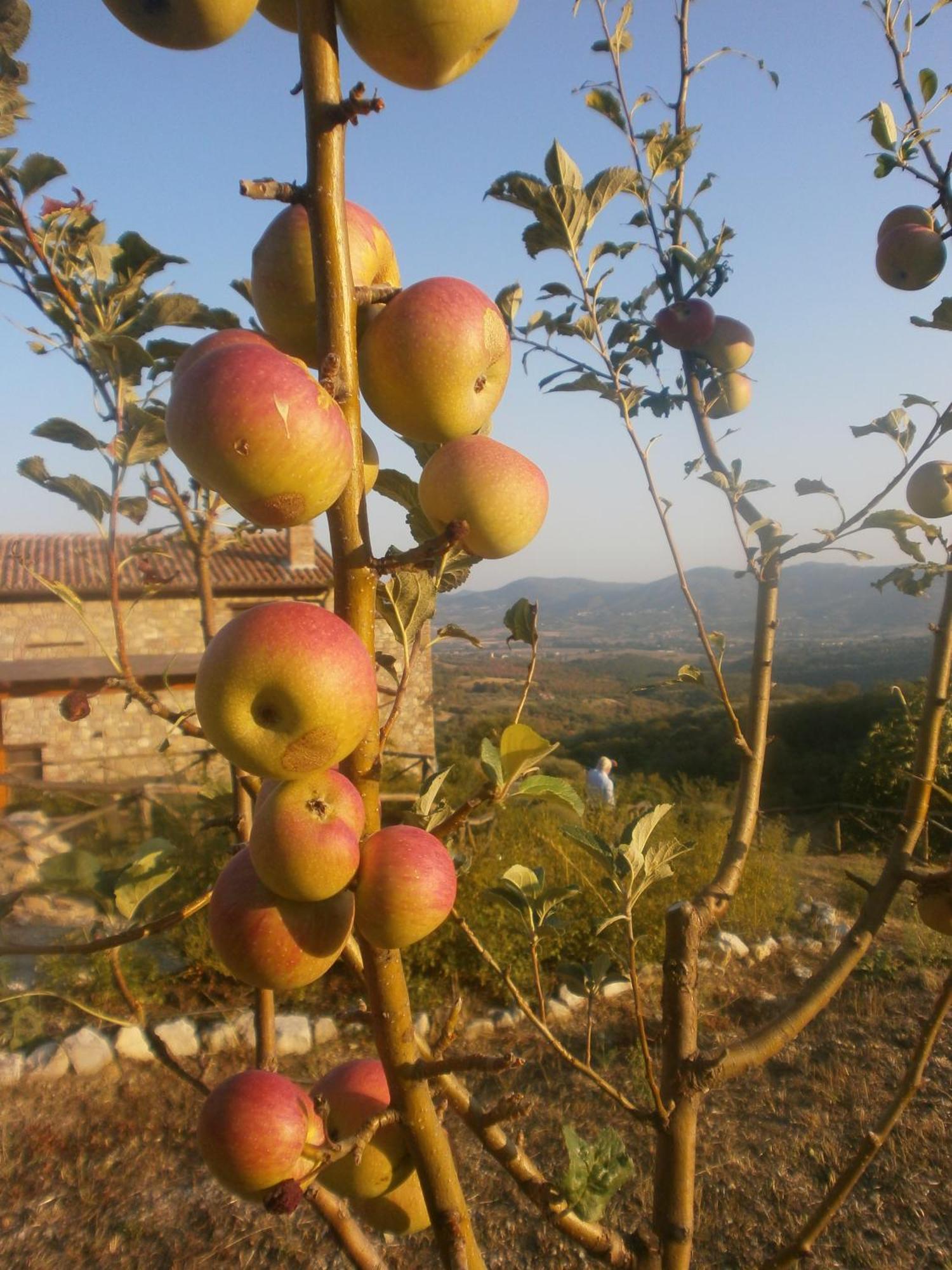 I Casali Di Colle San Paolo Villa Tavernelle  Eksteriør bilde