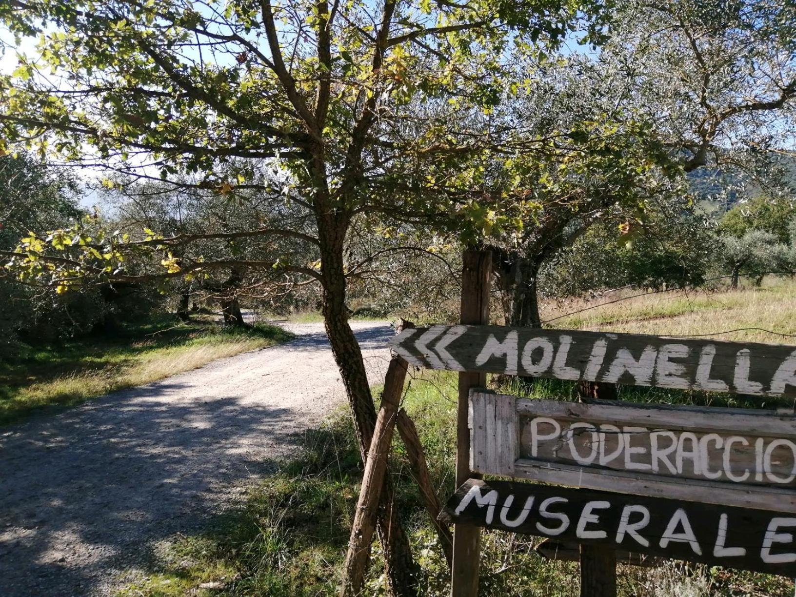 I Casali Di Colle San Paolo Villa Tavernelle  Eksteriør bilde